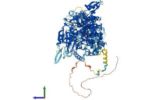 AlphaFold protein structure predicition of Mouse Recombinant Nol6 Protein, UniprotID Q8R5K4