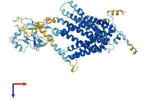 AlphaFold protein structure predicition of Human Recombinant SLC44A4 Protein, UniprotID Q53GD3