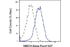 Validation of HIBCH knockdown using flow cytometry.