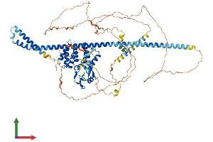 AlphaFold protein structure predicition of Human Recombinant HGS Protein, UniprotID O14964
