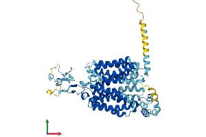 AlphaFold protein structure predicition of Mouse Recombinant Slc22a20 Protein, UniprotID Q80UJ1