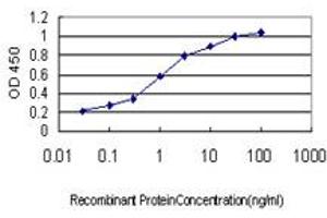 Detection limit for recombinant GST tagged S100A6 is approximately 0. (S100A6 anticorps  (AA 18-90))