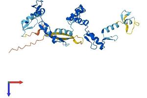 AlphaFold protein structure predicition of Human Recombinant ZNF771 Protein, UniprotID Q7L3S4