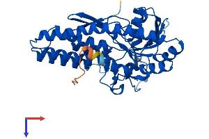 AlphaFold protein structure predicition of Mouse Recombinant Mri1 Protein, UniprotID Q9CQT1