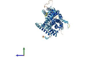 AlphaFold protein structure predicition of Mouse Recombinant Slc11a2 Protein, UniprotID P49282