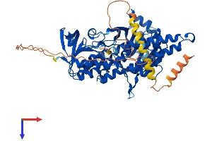 AlphaFold protein structure predicition of Mouse Recombinant Sqle Protein, UniprotID P52019
