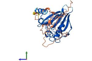 AlphaFold protein structure predicition of Human Recombinant HAGHL Protein, UniprotID Q6PII5