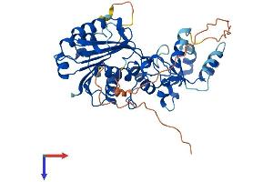 AlphaFold protein structure predicition of Mouse Recombinant Trdmt1 Protein, UniprotID O55055