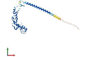 AlphaFold protein structure predicition of Mouse Recombinant Rnf151 Protein, UniprotID Q9CQ29