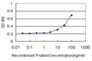 Detection limit for recombinant GST tagged CA8 is approximately 3ng/ml as a capture antibody. (CA8 anticorps  (AA 40-139))