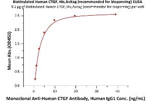 Immobilized Biotinylated Human CTGF, His,Avitag (recommended for biopanning) (ABIN6253582) at 2 μg/mL (100 μL/well) on streptavidin precoated (0. (CTGF Protein (AA 27-349) (His tag,AVI tag,Biotin))