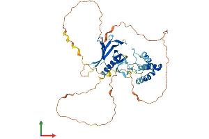 AlphaFold protein structure predicition of Human Recombinant SPRED3 Protein, UniprotID Q2MJR0