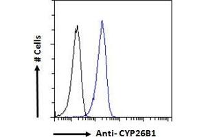 ABIN185731 Flow cytometric analysis of paraformaldehyde fixed A431 cells (blue line), permeabilized with 0.