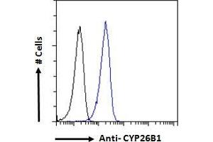 ABIN185731 Flow cytometric analysis of paraformaldehyde fixed A431 cells (blue line), permeabilized with 0.