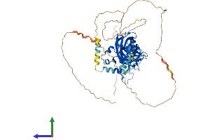 AlphaFold protein structure predicition of Human Recombinant EBF4 Protein, UniprotID Q9BQW3