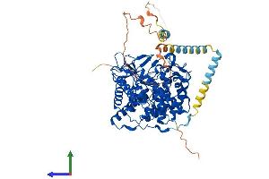 AlphaFold protein structure predicition of Mouse Recombinant Man1a1 Protein, UniprotID P45700