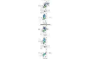 Flow cytometry surface staining patterns of non-transfected HEK-293 cells and HEK-293 cells transfected with KIR-family coding plasmids co-transfected with YFP coding plasmid using anti-human CD158f (UP-R1) APC antibody (10 μL reagent / 100 μL of peripheral whole blood).