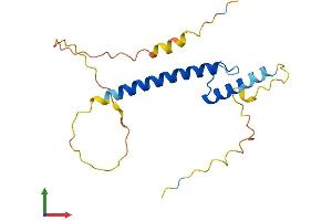 AlphaFold protein structure predicition of Human Recombinant TCF21 Protein, UniprotID O43680