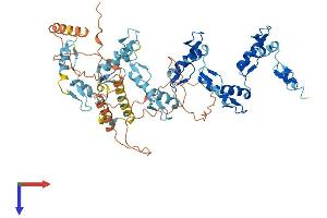 AlphaFold protein structure predicition of Human Recombinant ZNF530 Protein, UniprotID Q6P9A1