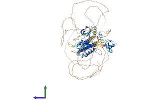 AlphaFold protein structure predicition of Human Recombinant MAP3K21 Protein, UniprotID Q5TCX8