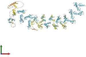 AlphaFold protein structure predicition of Human Recombinant ZNF208 Protein, UniprotID O43345