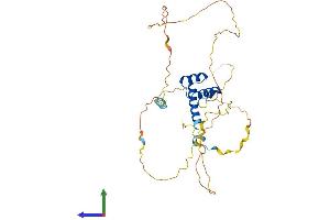 AlphaFold protein structure predicition of Mouse Recombinant Hoxb2 Protein, UniprotID P0C1T1