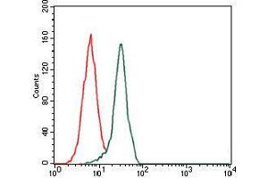 Flow cytometric analysis of HeLa cells using FN1 mouse mAb (green) and negative control (red).