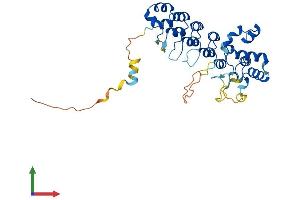 AlphaFold protein structure predicition of Mouse Recombinant Asb1 Protein, UniprotID Q9WV74