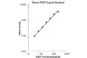 ELISA image for Thymic Stromal Lymphopoietin (TSLP) ELISA Kit (ABIN3198489)