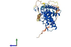 AlphaFold protein structure predicition of Mouse Recombinant Fkbp8 Protein, UniprotID O35465
