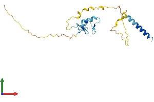 AlphaFold protein structure predicition of Mouse Recombinant Rnf185 Protein, UniprotID Q91YT2