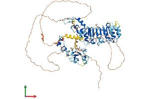AlphaFold protein structure predicition of Human Recombinant FBXL19 Protein, UniprotID Q6PCT2