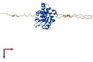 AlphaFold protein structure predicition of Mouse Recombinant Dusp15 Protein, UniprotID Q8R4V2
