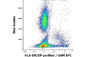 Flow cytometry surface staining pattern of human peripheral whole blood stained using anti-human HLA-DR/DP (HL-40) purified antibody (concentration in sample 1 μg/mL) GAM APC. (HLA-DP/DR anticorps)