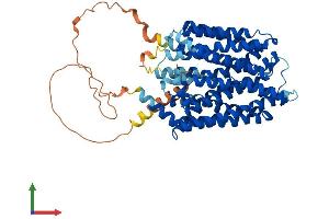 AlphaFold protein structure predicition of Mouse Recombinant Spns2 Protein, UniprotID Q91VM4
