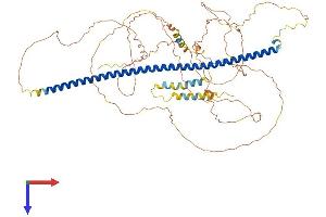 Syntabulin (Syntaxin-Interacting) (SYBU) (AA 1-665) protein (His tag)
