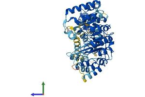 AlphaFold protein structure predicition of Mouse Recombinant Lrrc14 Protein, UniprotID Q8VC16