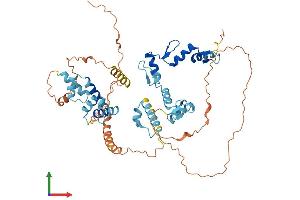 AlphaFold protein structure predicition of Human Recombinant ZNF75D Protein, UniprotID P51815