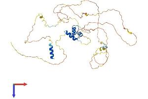 AlphaFold protein structure predicition of Mouse Recombinant Lcor Protein, UniprotID Q6ZPI3