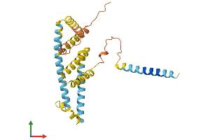 AlphaFold protein structure predicition of Human Recombinant BRI3BP Protein, UniprotID Q8WY22