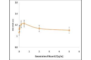 Activity Assay (AcA) image for Interleukin 17 (IL17) (Active) protein (ABIN5509454) (IL-17 Protéine)