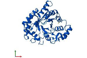 AlphaFold protein structure predicition of Human Recombinant AKR1D1 Protein, UniprotID P51857