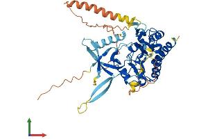AlphaFold protein structure predicition of Mouse Recombinant Ip6k2 Protein, UniprotID Q80V72