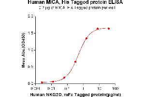 ELISA plate pre-coated by 2 μg/mL (100 μL/well) Human MICA, His tagged protein (ABIN6964102, ABIN7042459 and ABIN7042460) can bind Human D, mFc tagged protein (ABIN6961134, ABIN7042297 and ABIN7042298) in a linear range of 0.