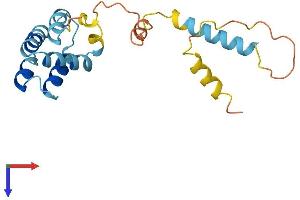 AlphaFold protein structure predicition of Mouse Recombinant Card19 Protein, UniprotID Q9D1I2