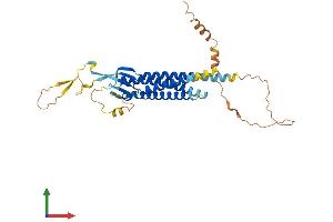 AlphaFold protein structure predicition of Human Recombinant GSG1 Protein, UniprotID Q2KHT4