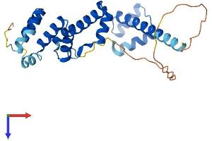 SIX Homeobox 6 (SIX6) (AA 1-246) protein (His tag)