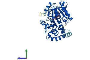 AlphaFold protein structure predicition of Mouse Recombinant Nsun3 Protein, UniprotID Q8CCT7