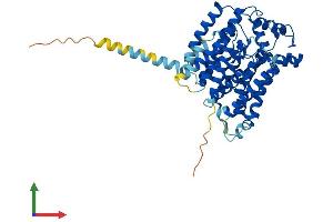AlphaFold protein structure predicition of Human Recombinant ALG3 Protein, UniprotID Q92685