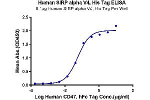Immobilized Human SIRP alpha V4, His Tag at 1 μg/mL (100 μL/Well).